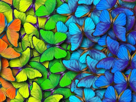 Bundle-Verkauf: Advanced Butterfly Diamond Painting Kits